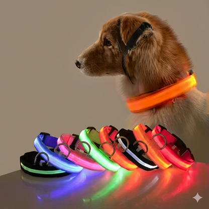 Coleira LED Recarregável para Cães – Segurança nos Passeios Noturnos
