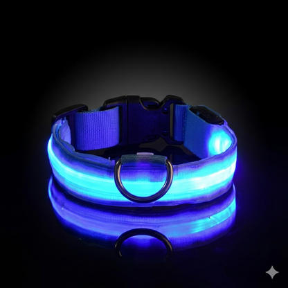 Coleira LED Recarregável para Cães – Segurança nos Passeios Noturnos