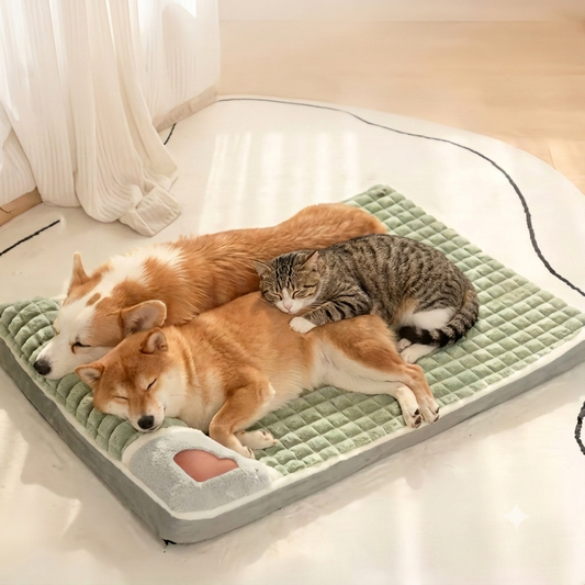 Cama Ortopédica para Cães – Protege Articulações e Alivia Dores