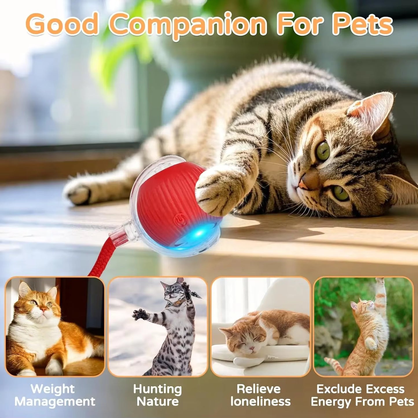 Bolinha Interativa Elétrica para Gatos e Cães – Se Move Sozinha