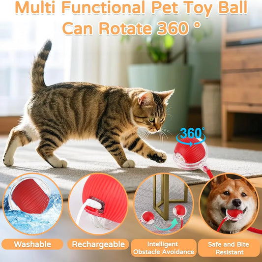 Bolinha Interativa Elétrica para Gatos e Cães – Se Move Sozinha